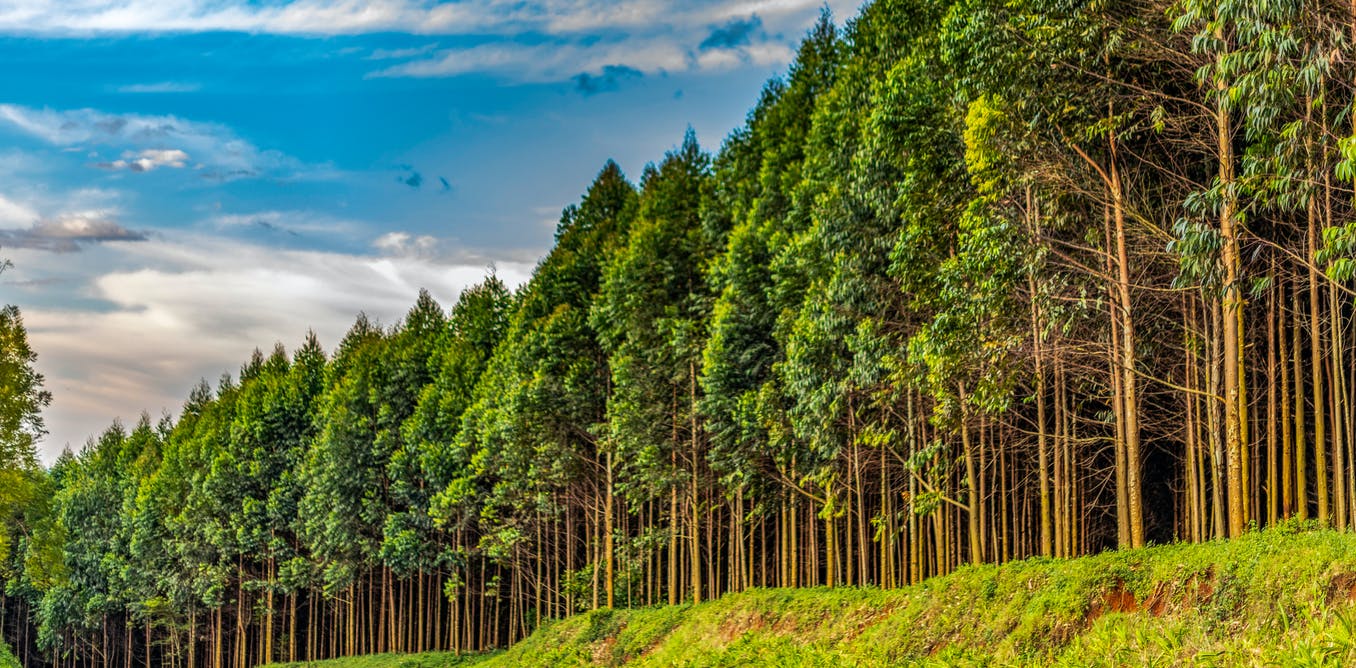 MOTO Safe Fuel Gel Sustainability